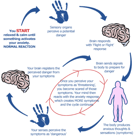 anxiety cycle Who Says We Cant Learn How To Panic No More